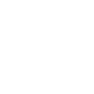 icon-eu